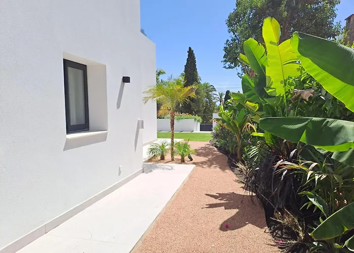 Noctua 016 El Pilar 1 *