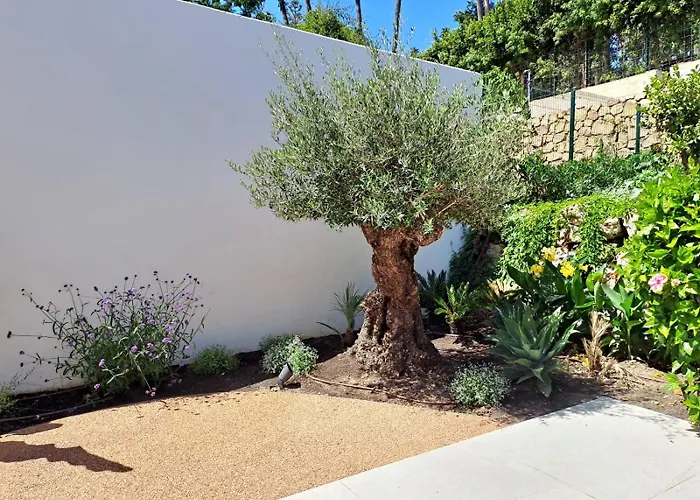 Noctua 016 El Pilar 1 * 에스테포나