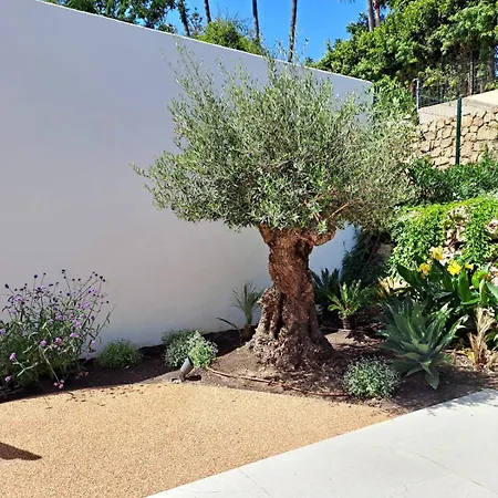 Noctua 016 El Pilar 1 * إِستيبونا